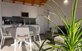 Delfina Home Mansarda